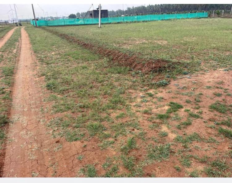 50 Cent Land for Sale