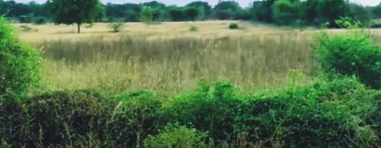 1 Acre 20 Cent Land for Sale