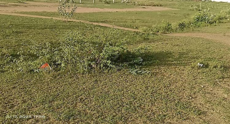 Dry agri land for sale