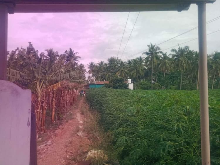 Single Property Image