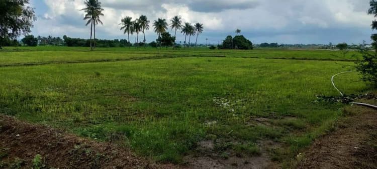 Single Property Image