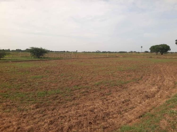 Low Budget Land for Sale