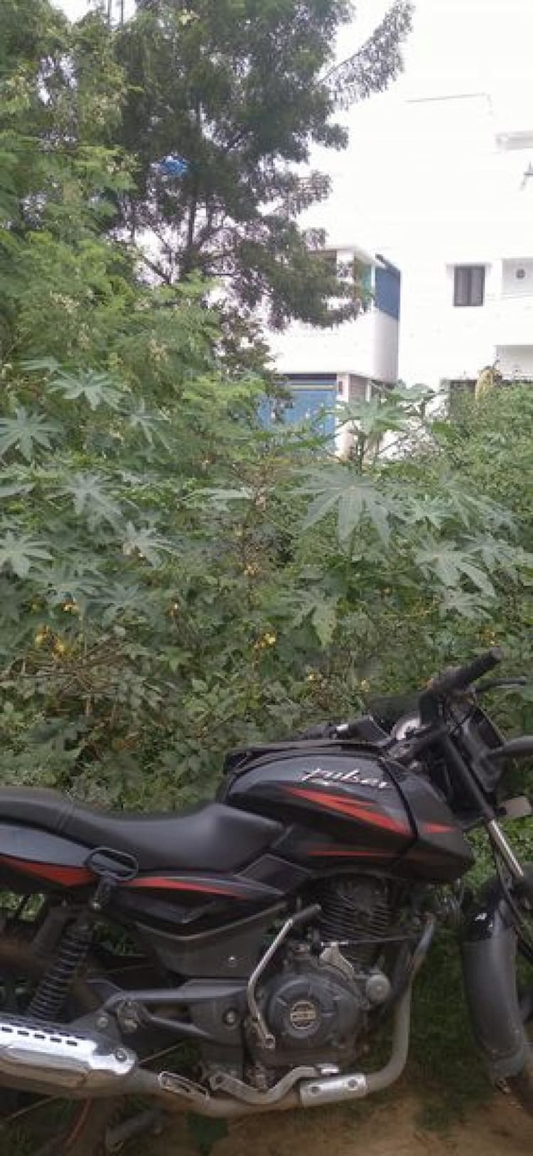 Single Property Image