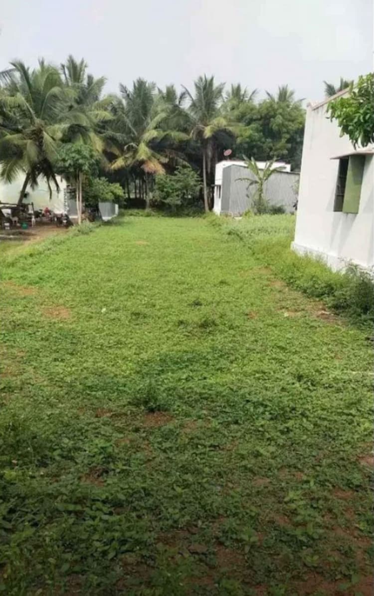 Plot For Sale