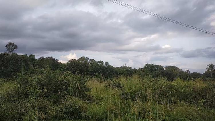 Single Property Image