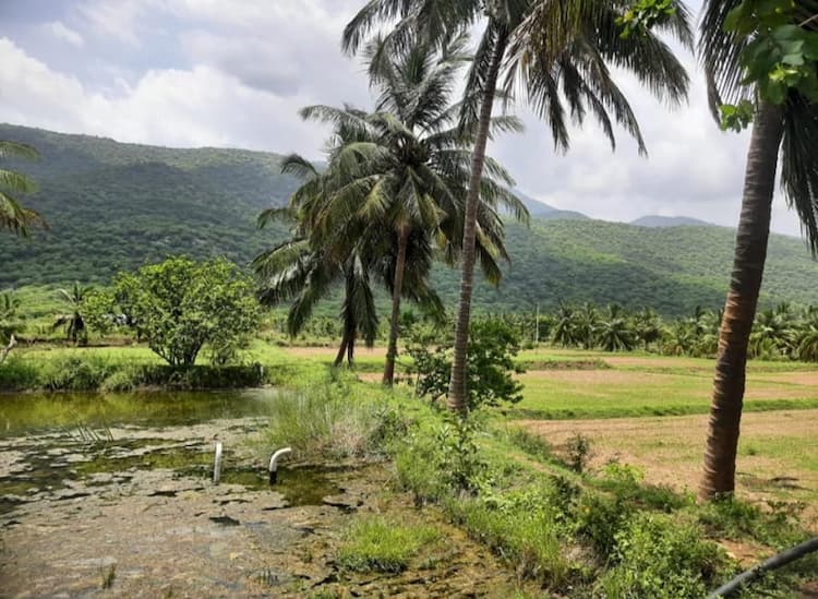 Single Property Image