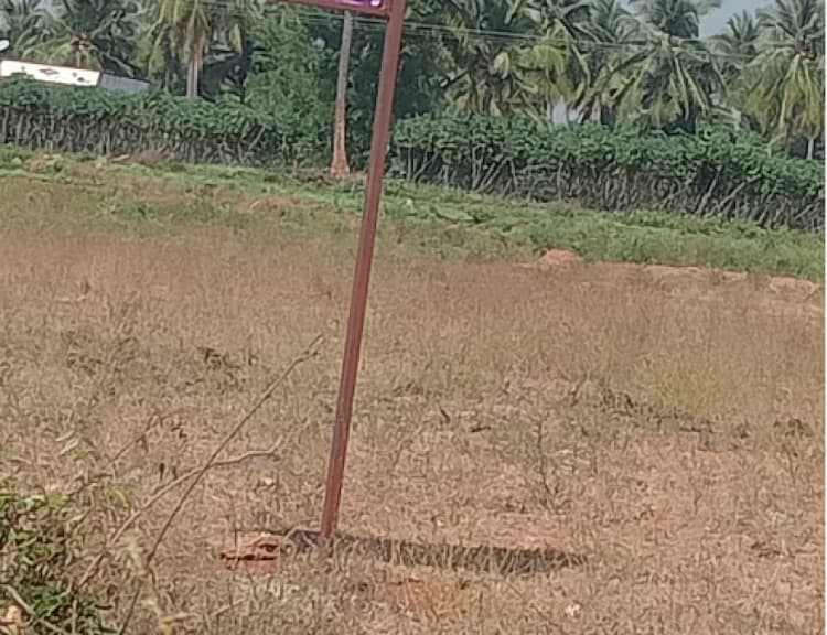 38 cent land for sales