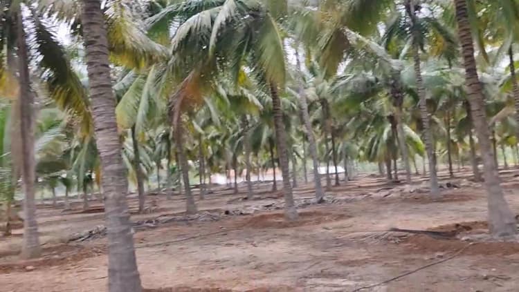 3 Acre Land for Sale