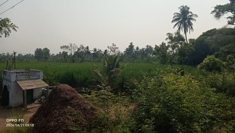 Single Property Image