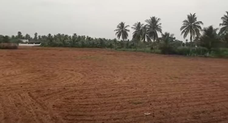 Land for sales