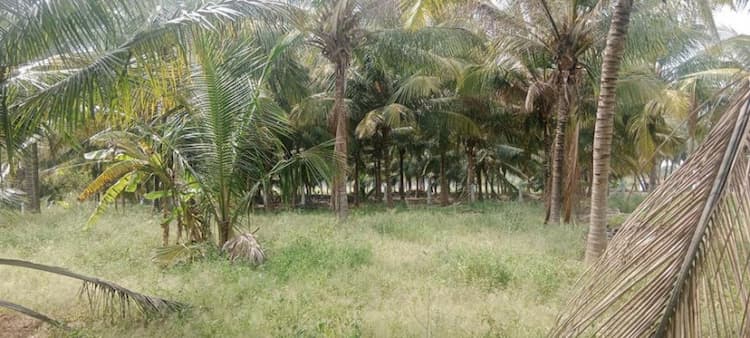 Single Property Image