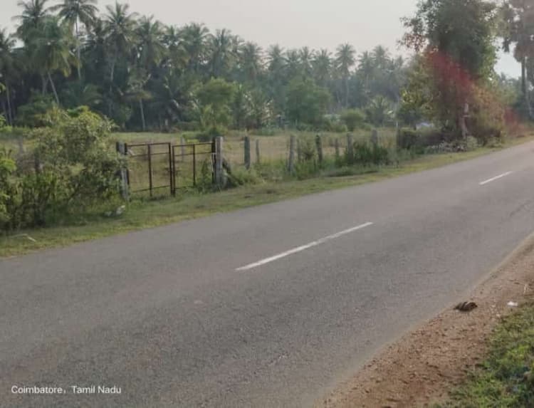 42 Cent Land for Sale