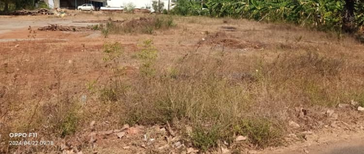 Land for sales