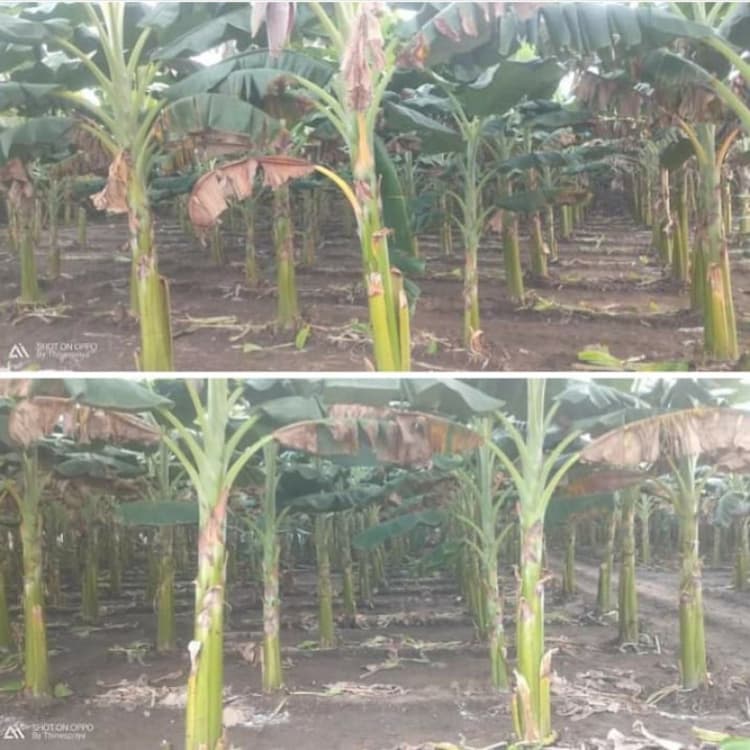 3.50 acres of land for sale