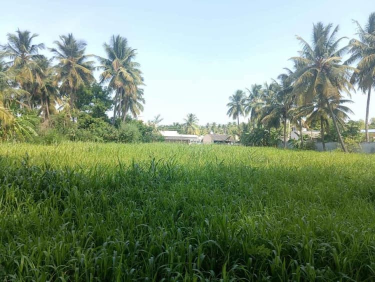 Single Property Image