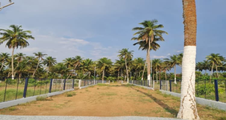 Single Property Image