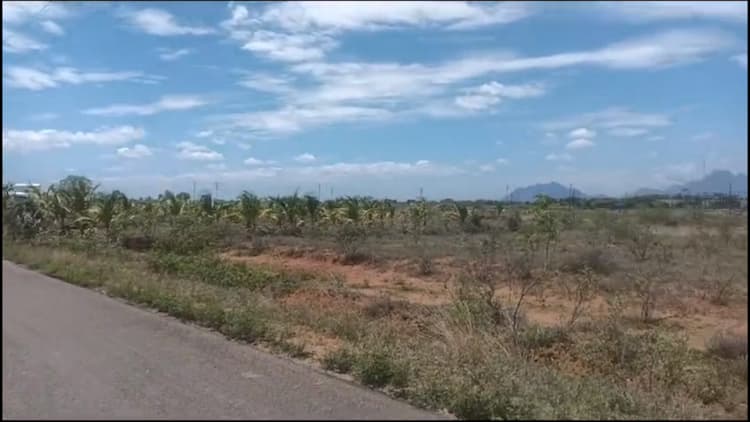 tirunelveli properties