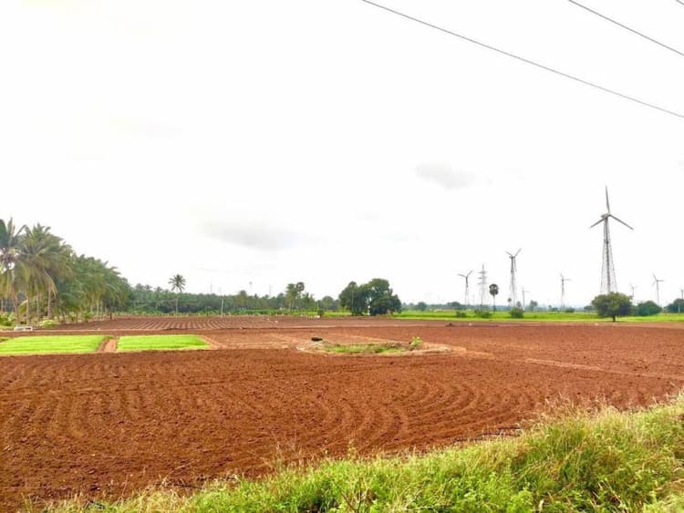 Agri Land for Sale