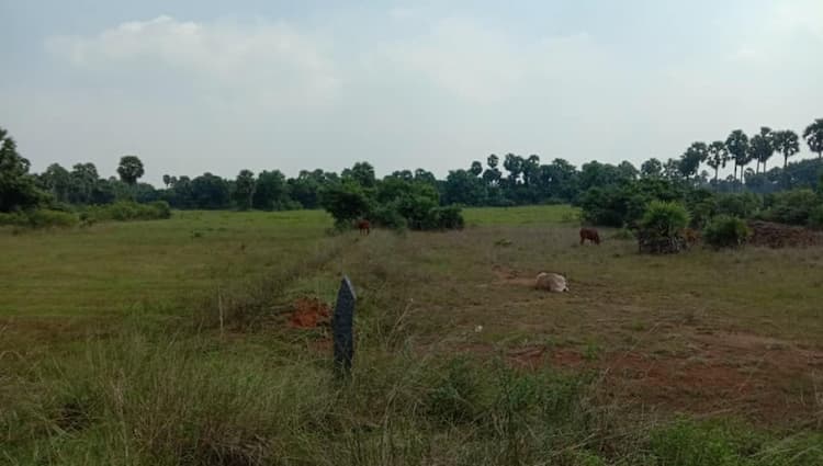 10 Acres punjai land for sale