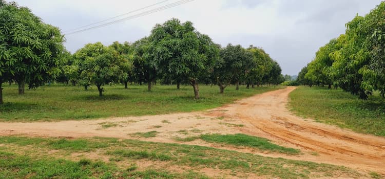 Single Property Image