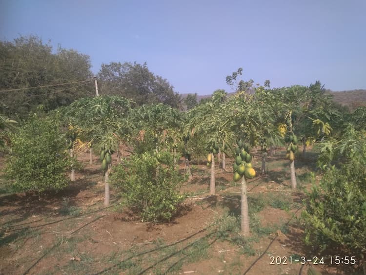 Single Property Image