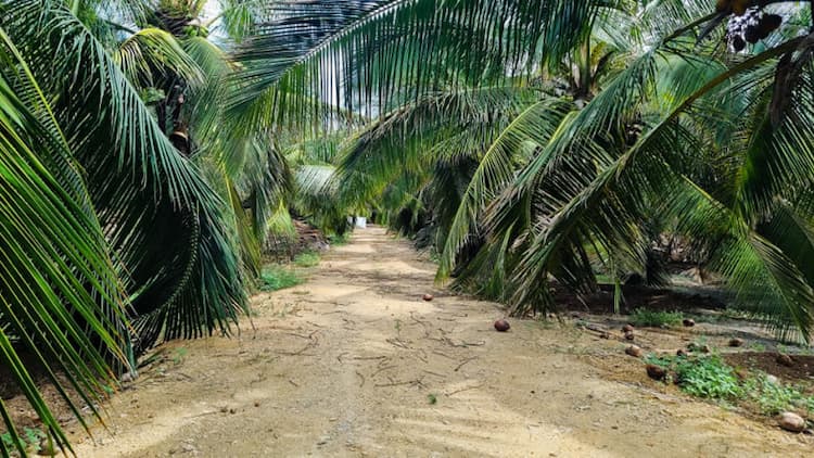 Single Property Image