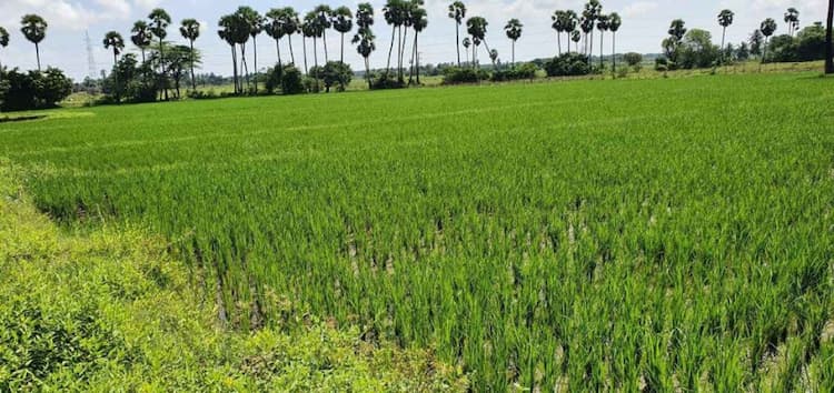 Single Property Image