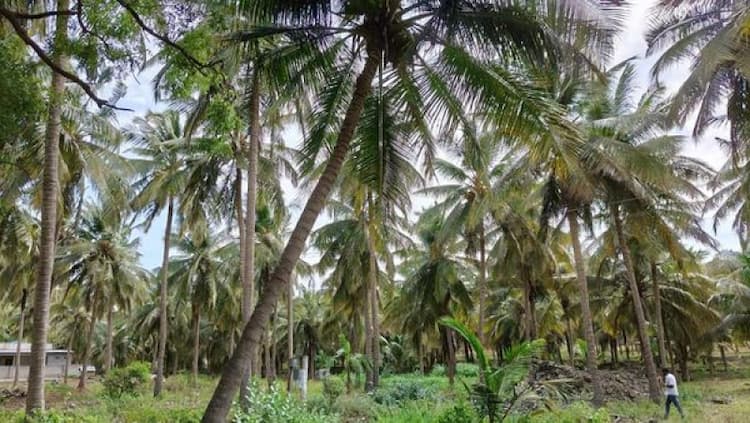 Single Property Image