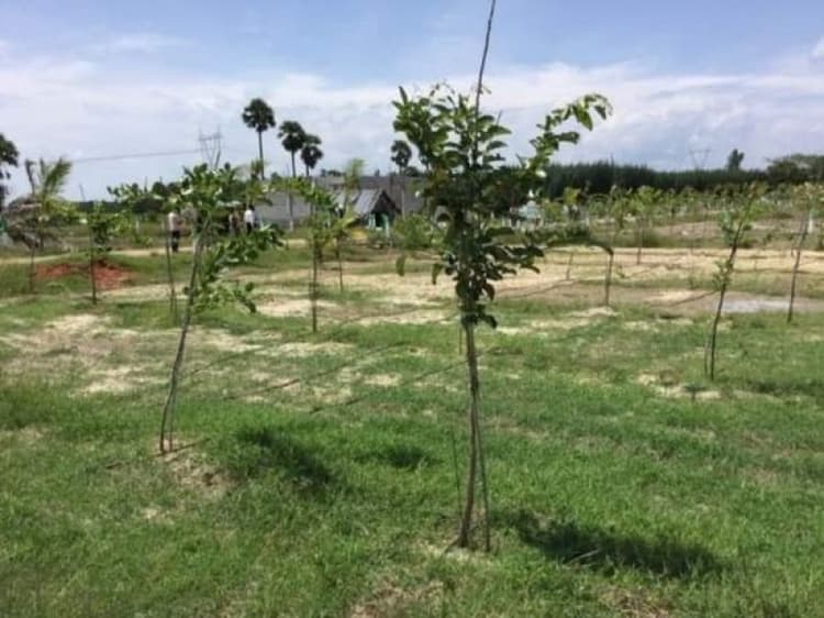 Single Property Image