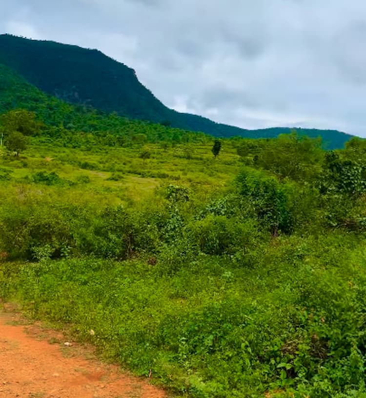 Single Property Image