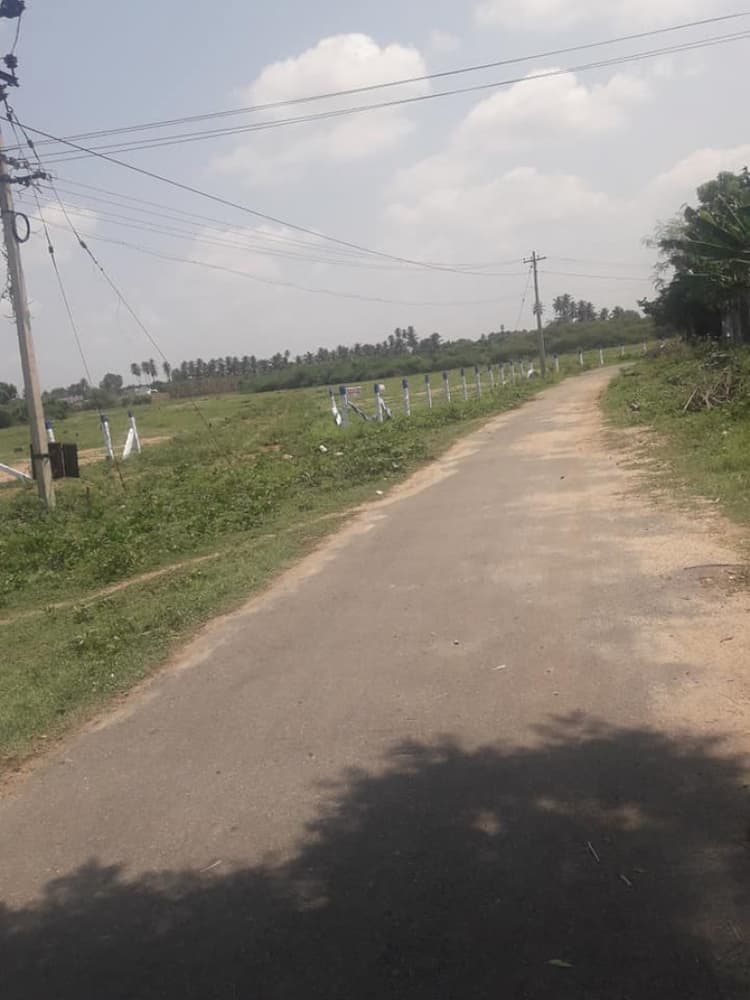 othimalai rode land sale