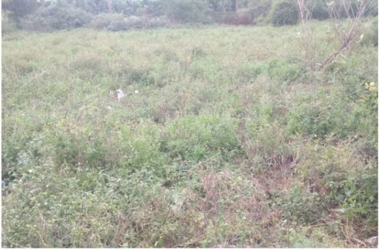 3.50 cents of plot for sale