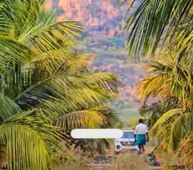 Single Property Image