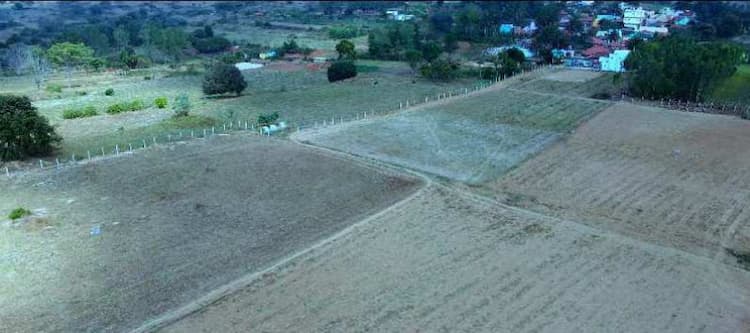 Agricultural Land
