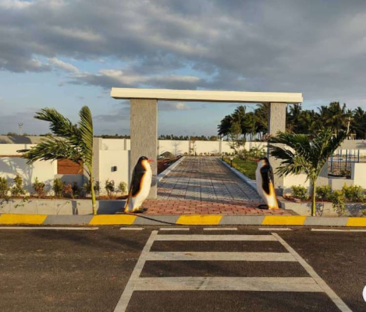 Single Property Image