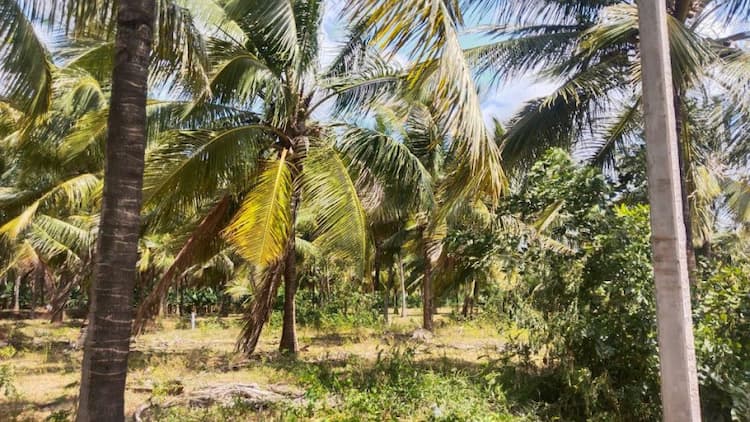 Single Property Image