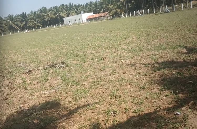 2 Acres Empty and Coconut Farm for Sale