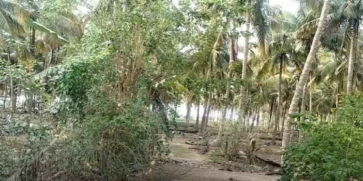 Single Property Image