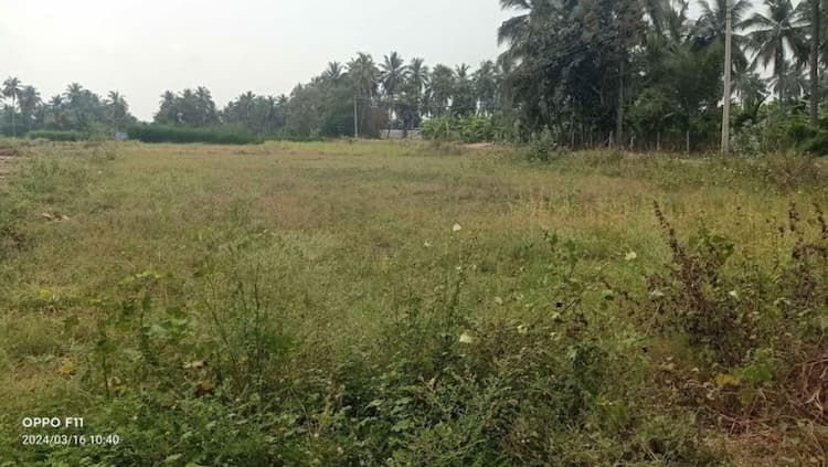 land for sales