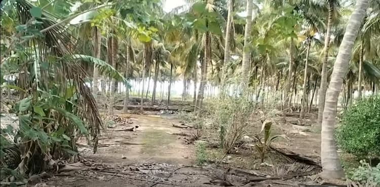 Single Property Image