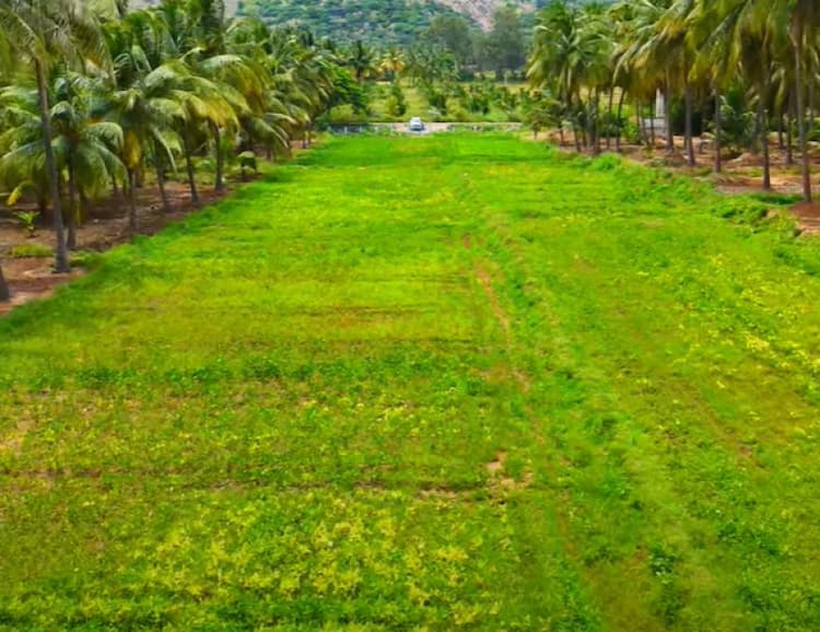 Single Property Image