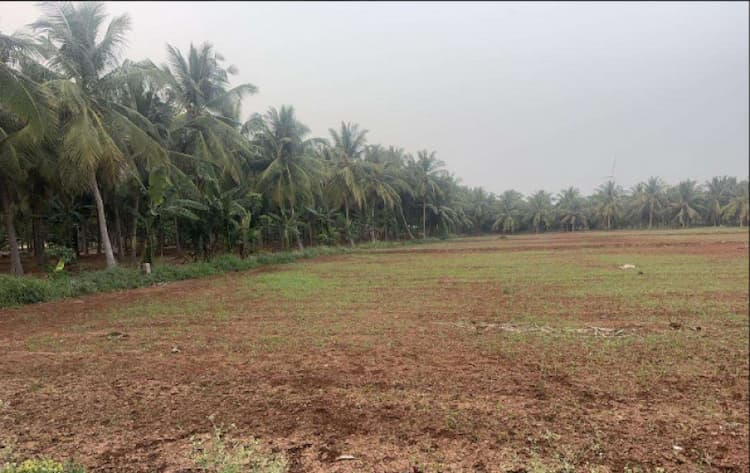 2 Acre Land for Sale in Periyapatti