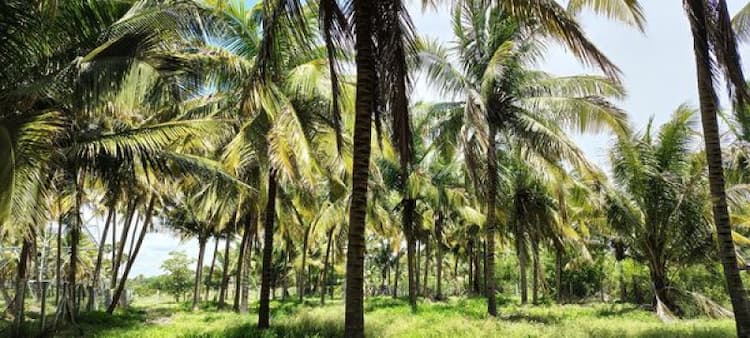 Single Property Image