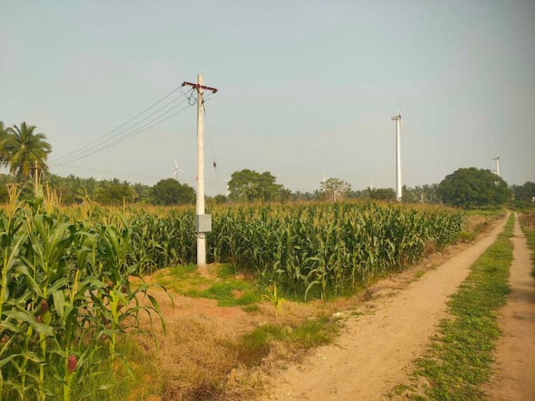 Single Property Image