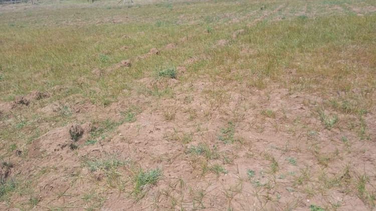 5 Acre Land for Sale