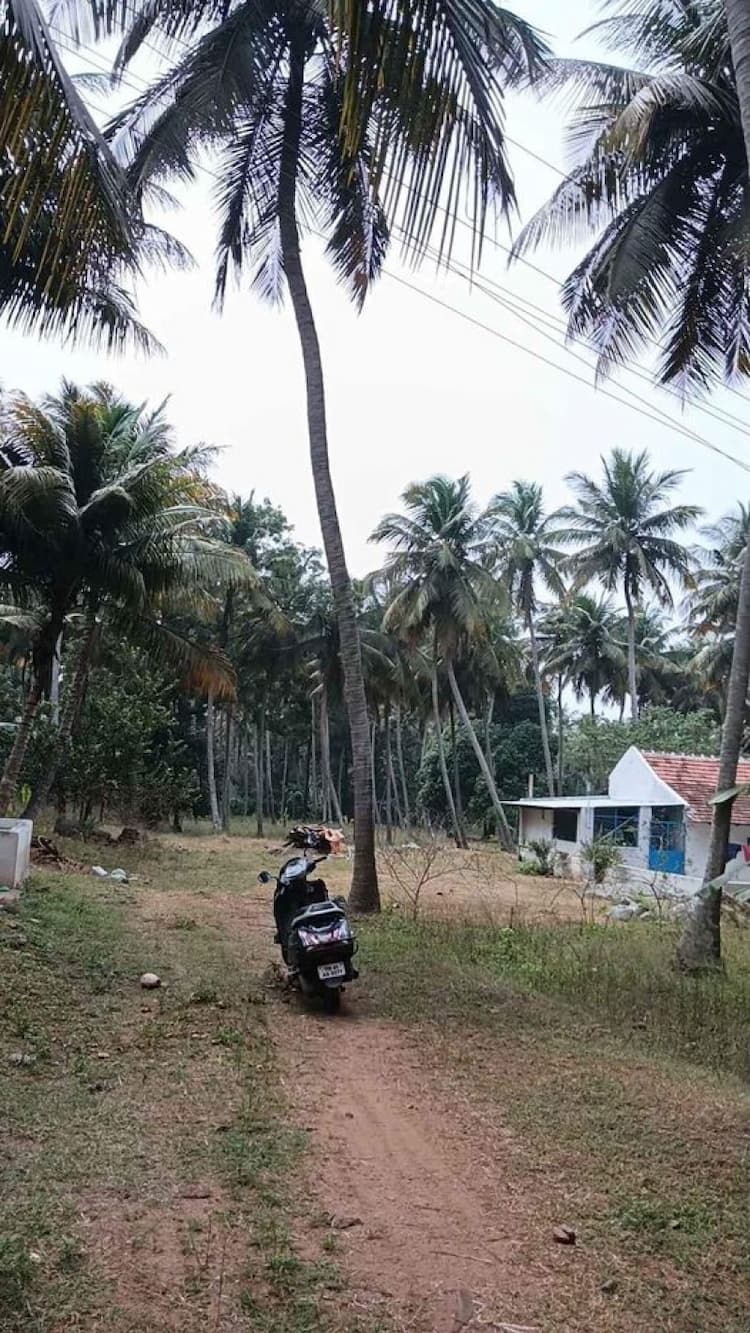 Single Property Image