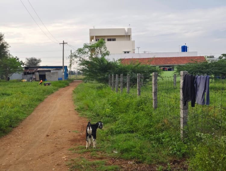 Single Property Image