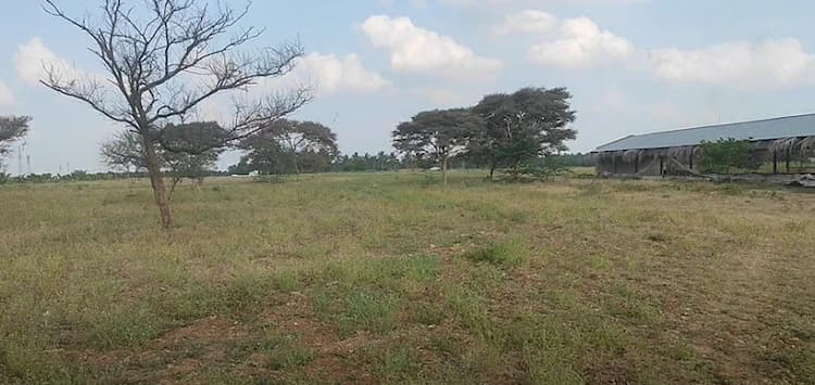 3 Acre Land for Sale