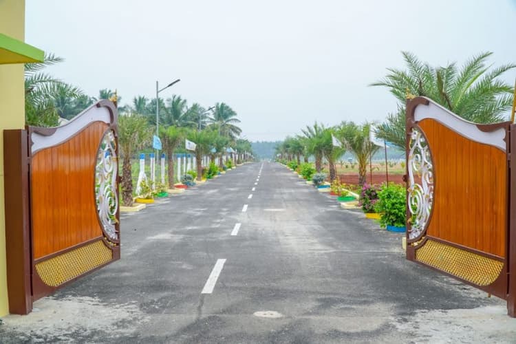 coconut farm land for sale