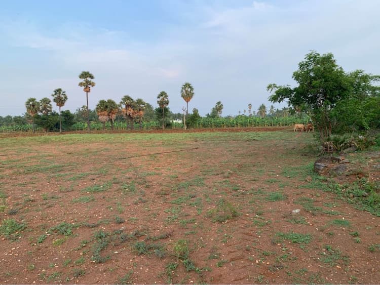 3.5 Acre for sales